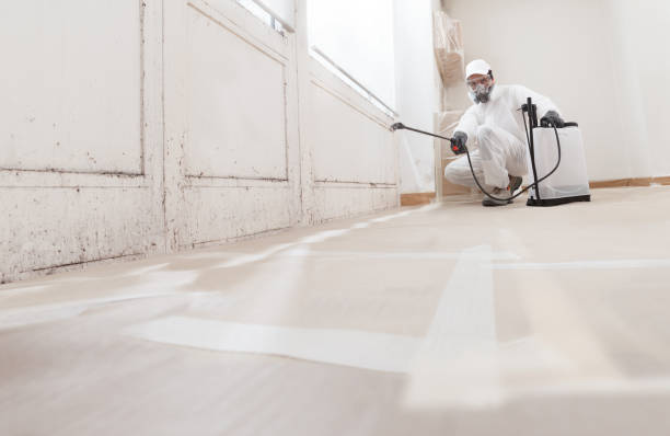 24/7 Emergency Mold Remediation experts in White Plains, NY
